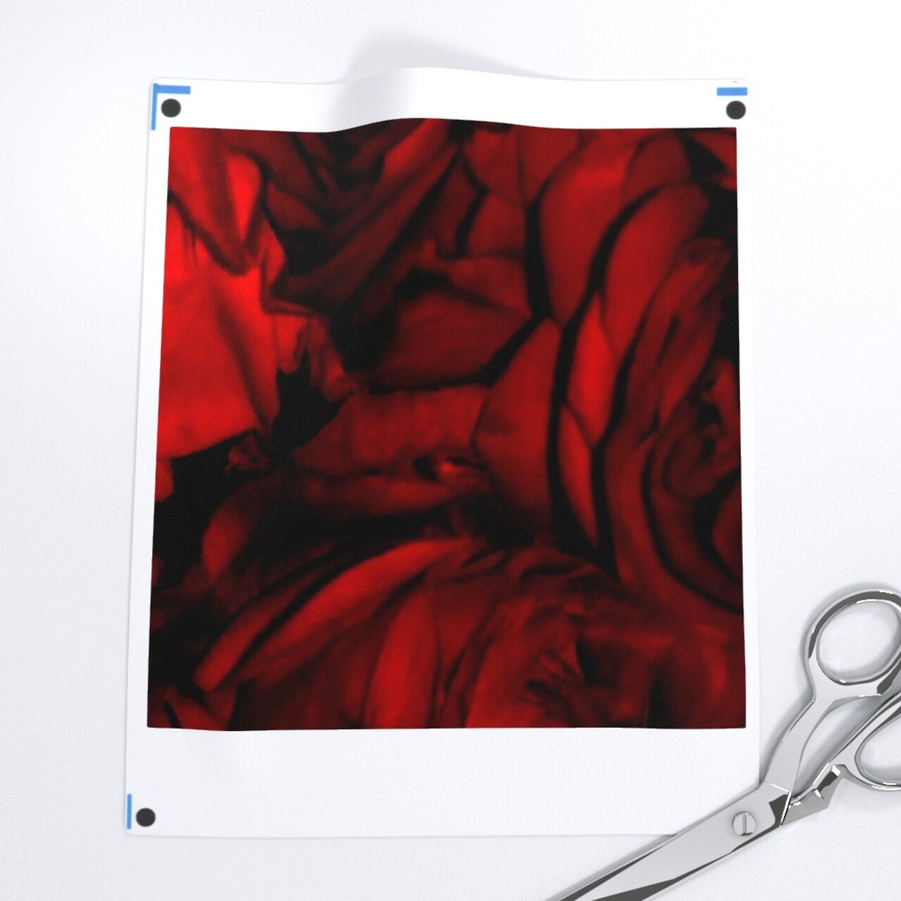 Blood Roses Rose Flowers Romantic Victorian Red Fire Orange Poppy Floral Nature Photographic Custom Printed Fabric by Spoonflower Various Fabrics by the Yard or Fat Quarter